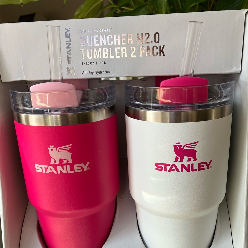 Stanley 2-Pack 20oz Frost & Pink Vibes Tumblers